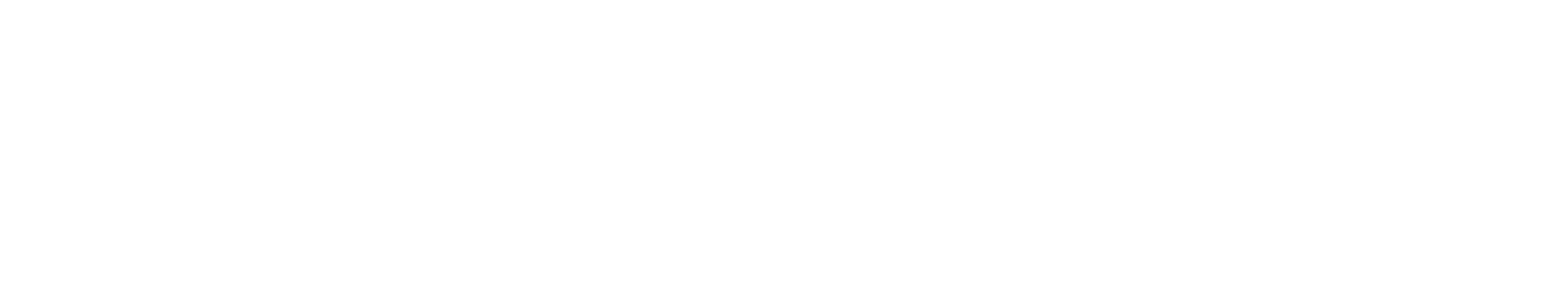 Logo VS Engineering_Esteso_White